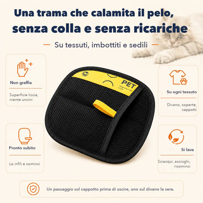Il levapeli al centro su fondo crema con quattro caratteristiche intorno e un gatto bianco in alto