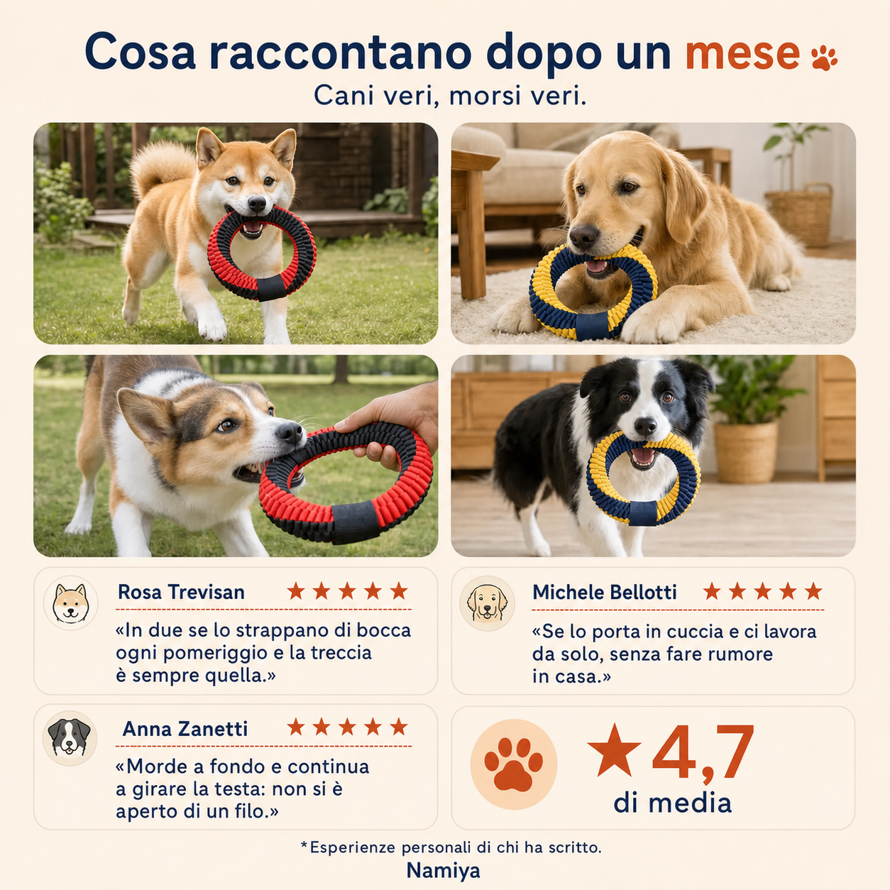 Griglia di foto con quattro cani e tre schede recensione a fianco